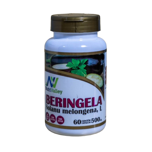 Berinjela